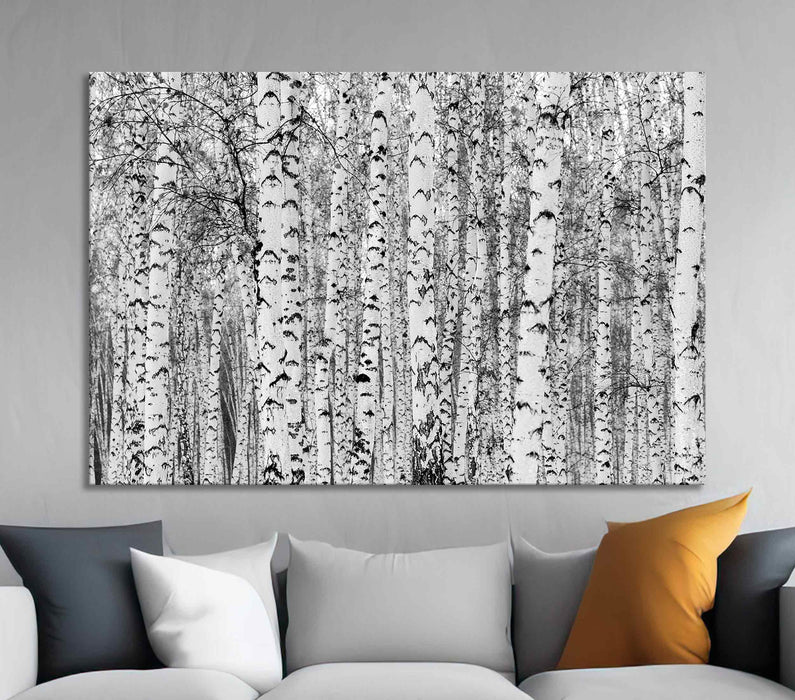 Snowy Forest Landscape with Birch Trees Poster or Canvas Print Framed Wall Art