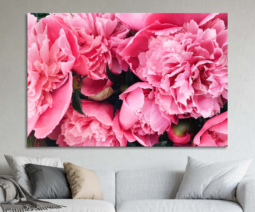 Large Beautiful Pink Peonies Paper Poster or Canvas Print Framed Wall Art