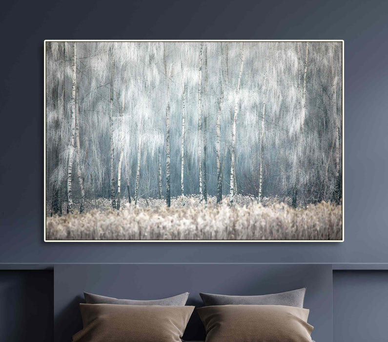 Mysterious birch forest Poster or Canvas Print Wall Art