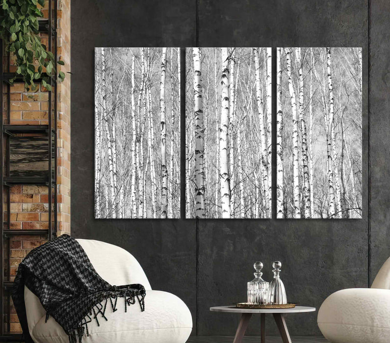 Snowy Birch Forest Poster or Canvas Print Framed Wall Art