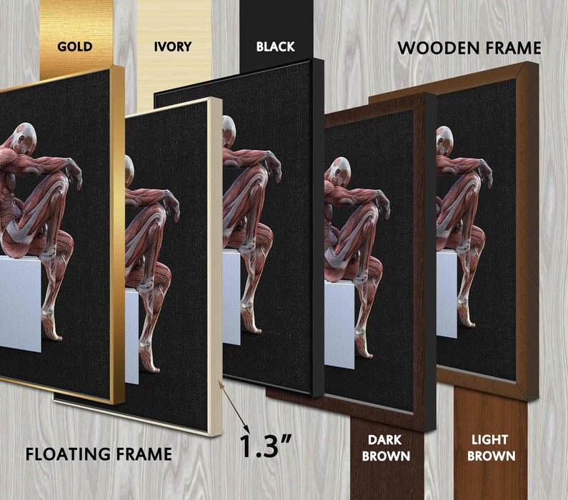 Visualization of the Male Figure Poster or Canvas Wall Art Print
