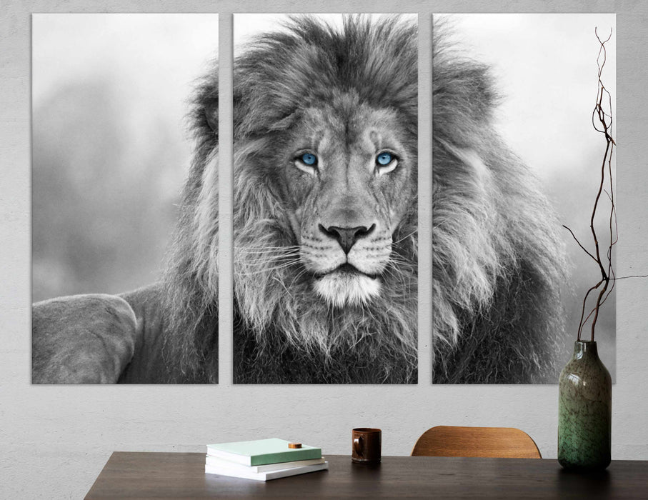 Black & White Lion With Blue Eyes Wild Animals Poster or Canvas Wall Art Print