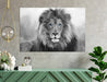 Black & White Lion With Blue Eyes Wild Animals Poster or Canvas Wall Art Print